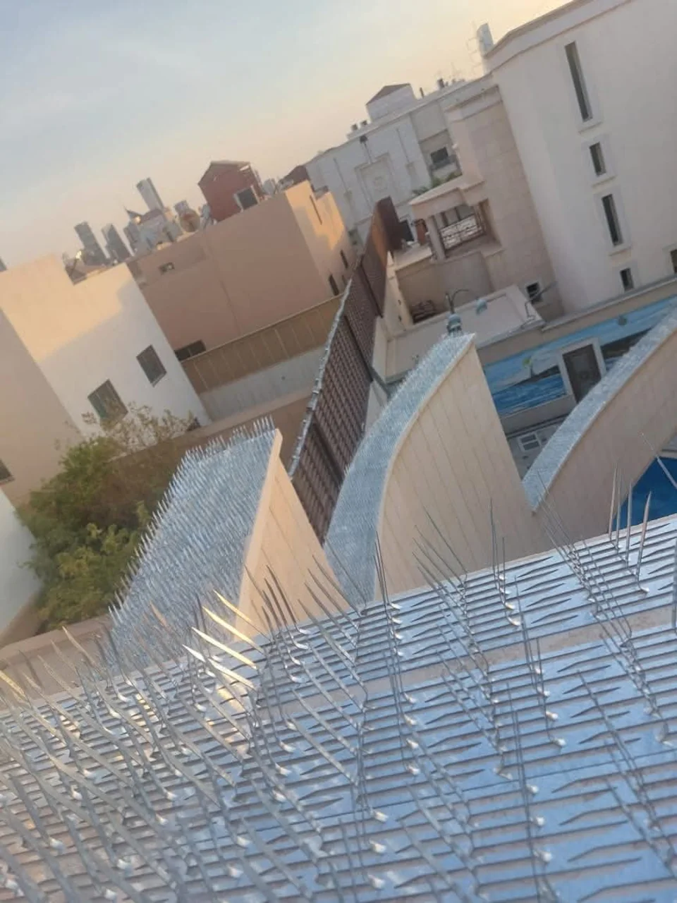 مكافحة الحمام وتركيب الطارد
