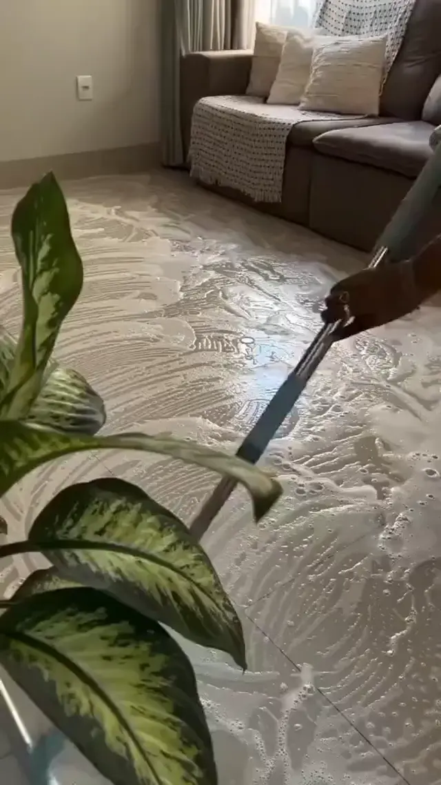 تنظيف الفلل والقصور