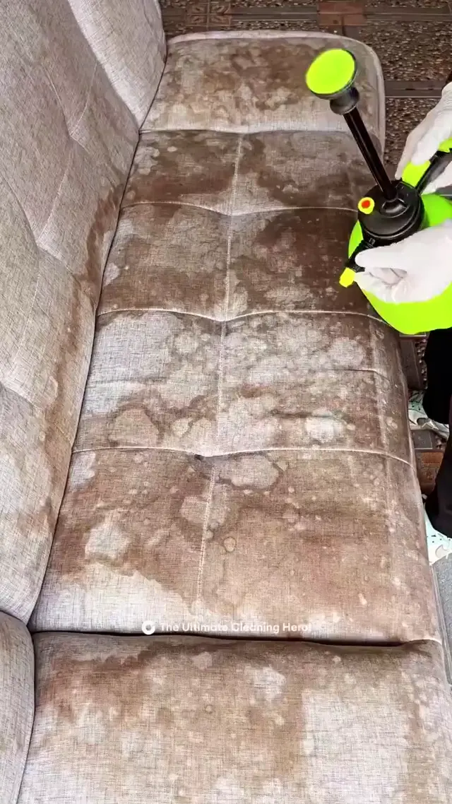 تنظيف الكنب والمجالس