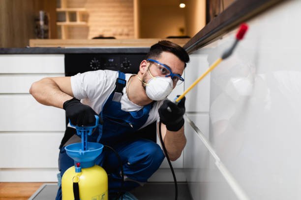 شركة مكافحة حشرات