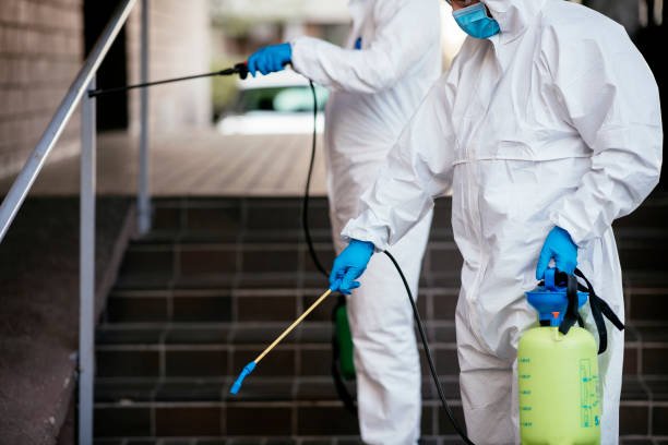 شركة مكافحة حشرات