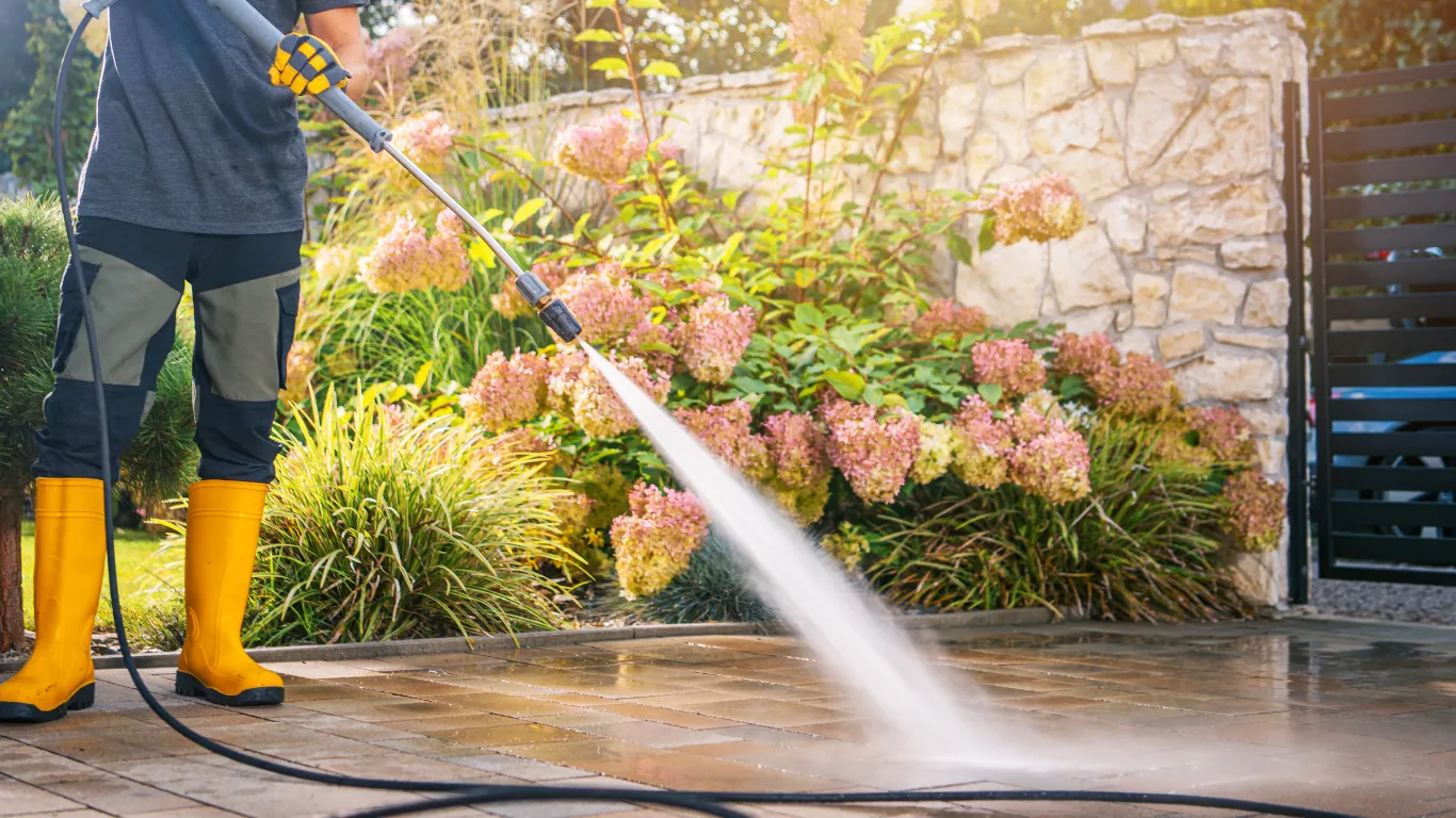 تنظيف الأحواش والساحات الخارجية